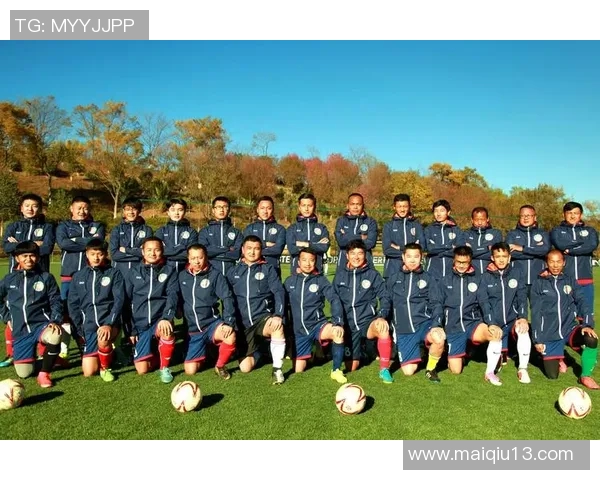 运动数据南京足球队进攻革新之路探索战术创新与团队协作的完美结合